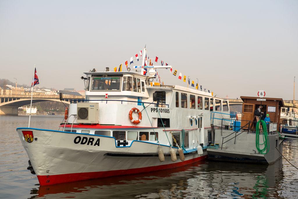 Foto: The first cruceros to the zoo this year were… – 4