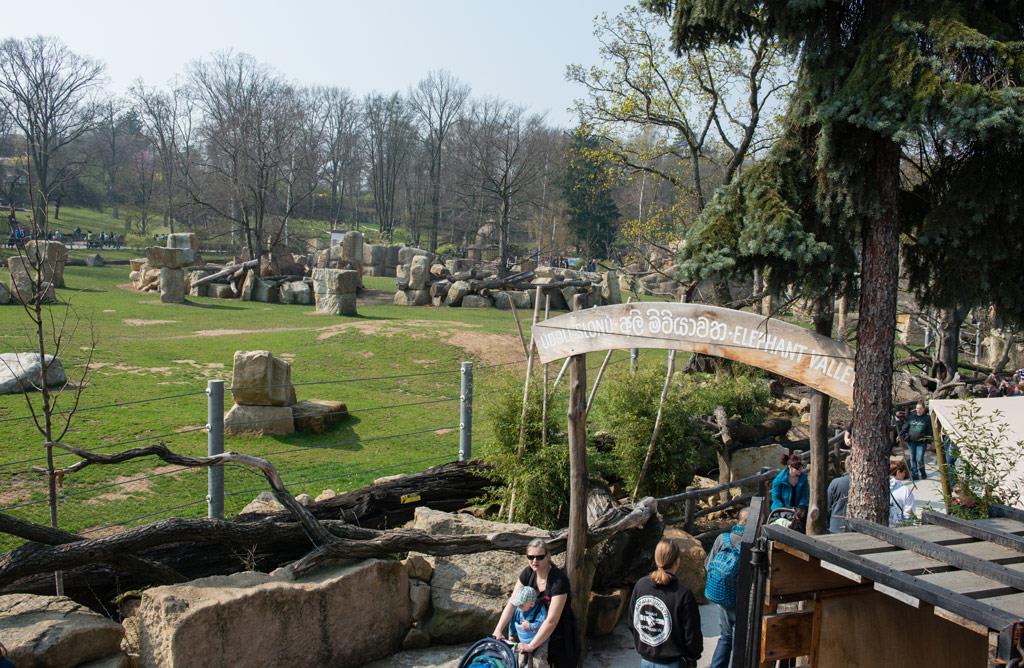 Foto: The first cruceros to the zoo this year were… – 19