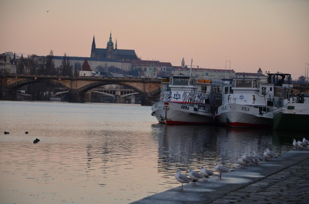 Photo : Květinová croisière pro Václava Havla – 1