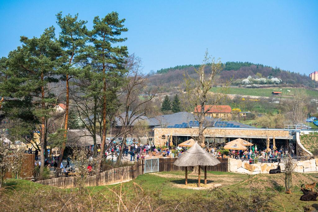 Foto: The first cruceros to the zoo this year were… – 31
