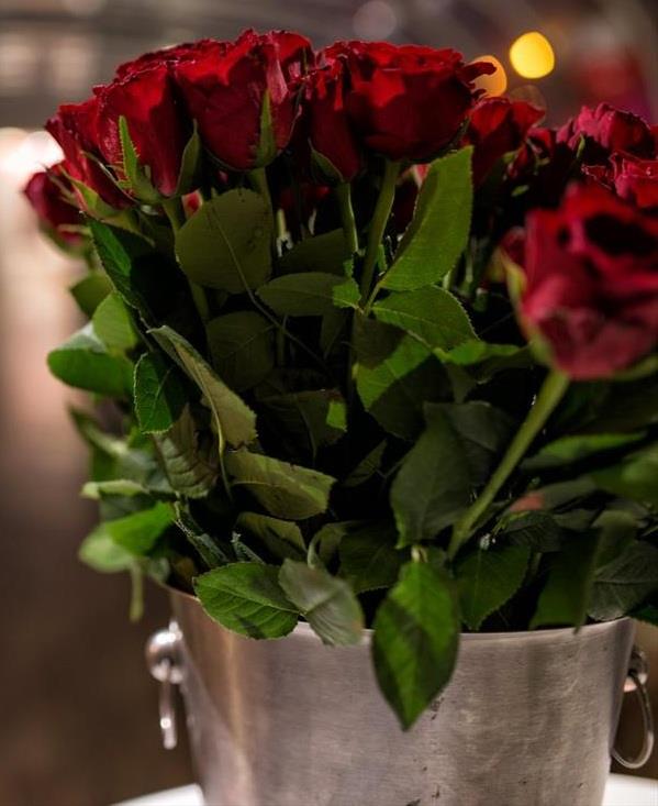 Foto: Valentine's Day crociere 2016 Are Here – 7