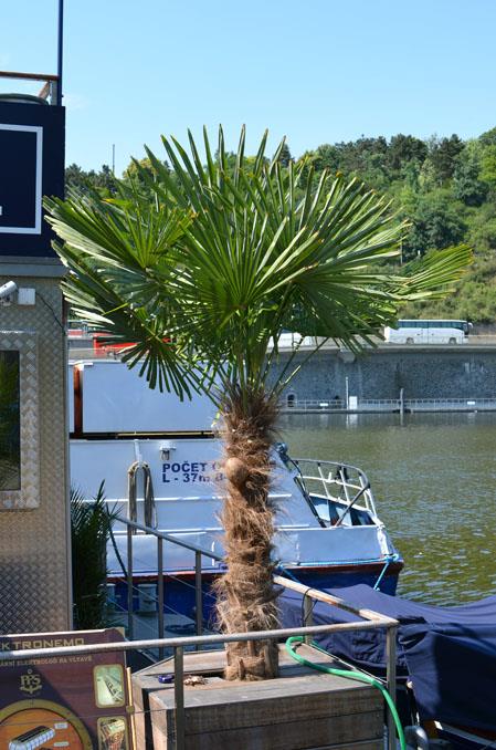 Photo: September cruises to the zoo from Hospital Na… – 5