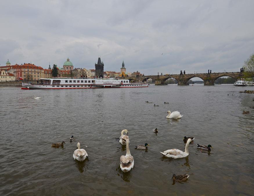 Photo: Steamboat Vyšehrad - opening cruise 2013 – 6