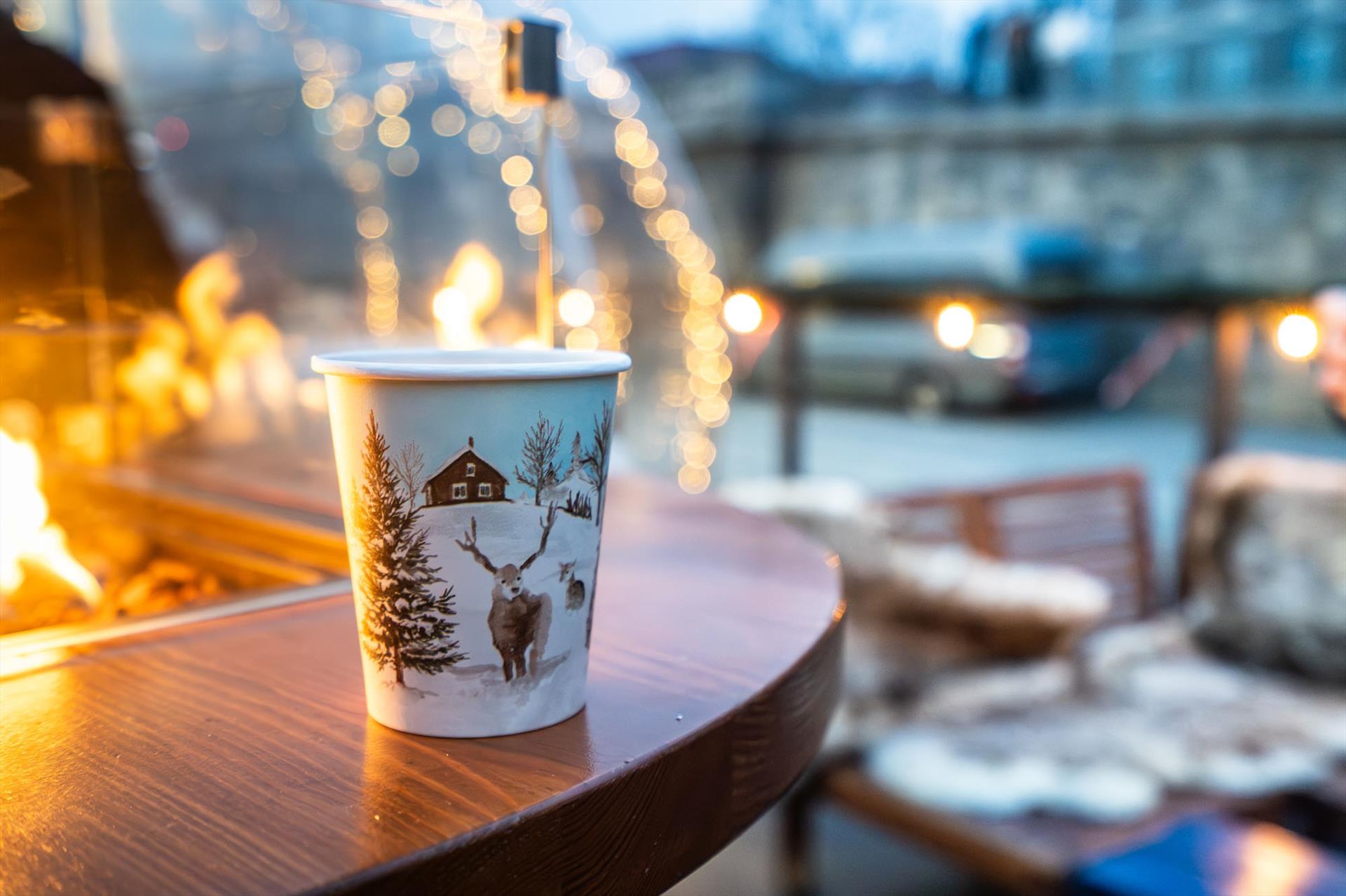 Photo: Frozen has dropped anchor on the Vltava – 111