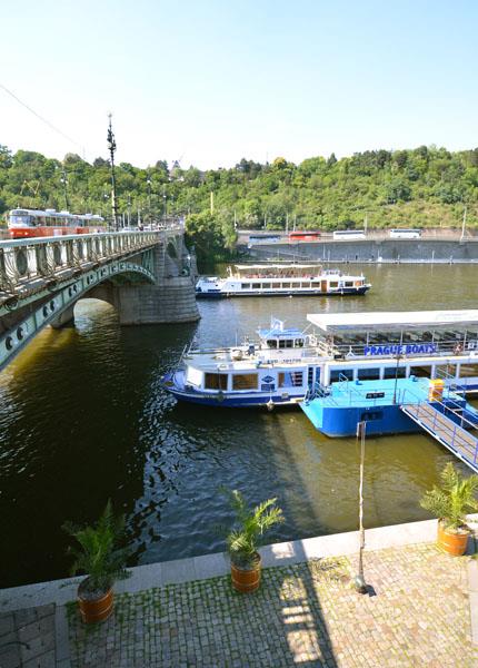 Photo: Palm trees on Dvorak embankment – 11