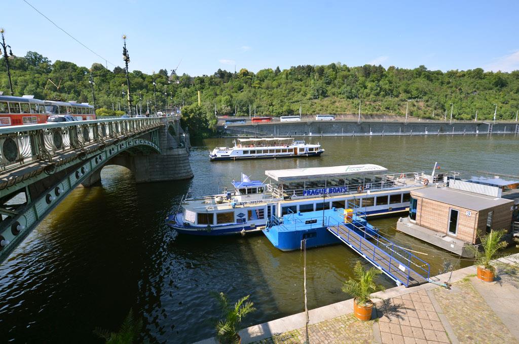 Photo: Palm trees on Dvorak embankment – 12
