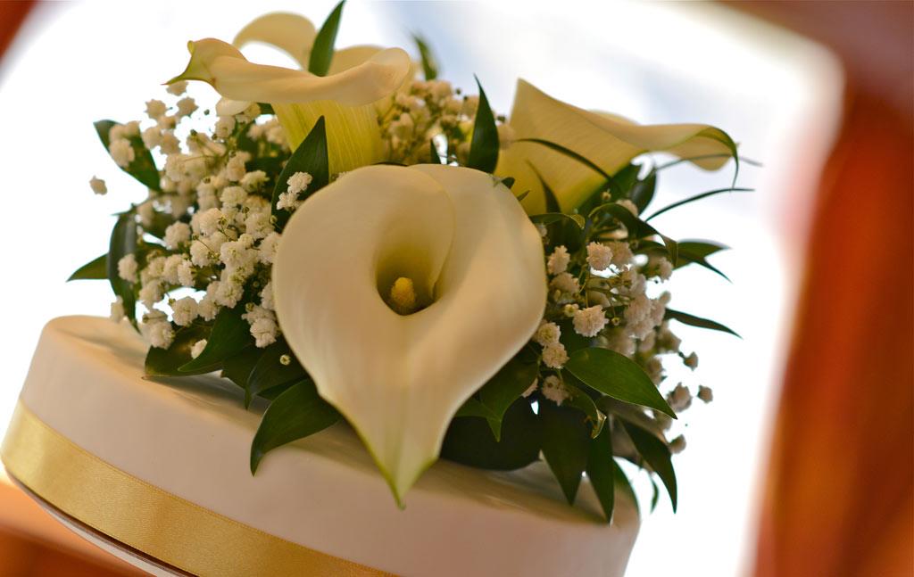 Foto: boda on the barco Luznice – 7