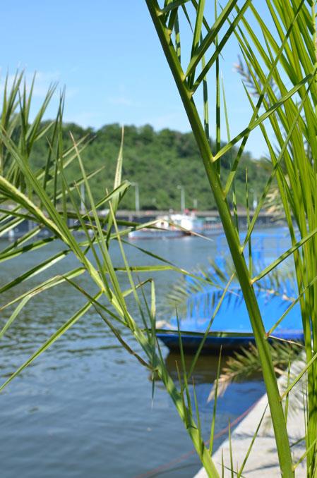 Photo: September cruises to the zoo from Hospital Na… – 7