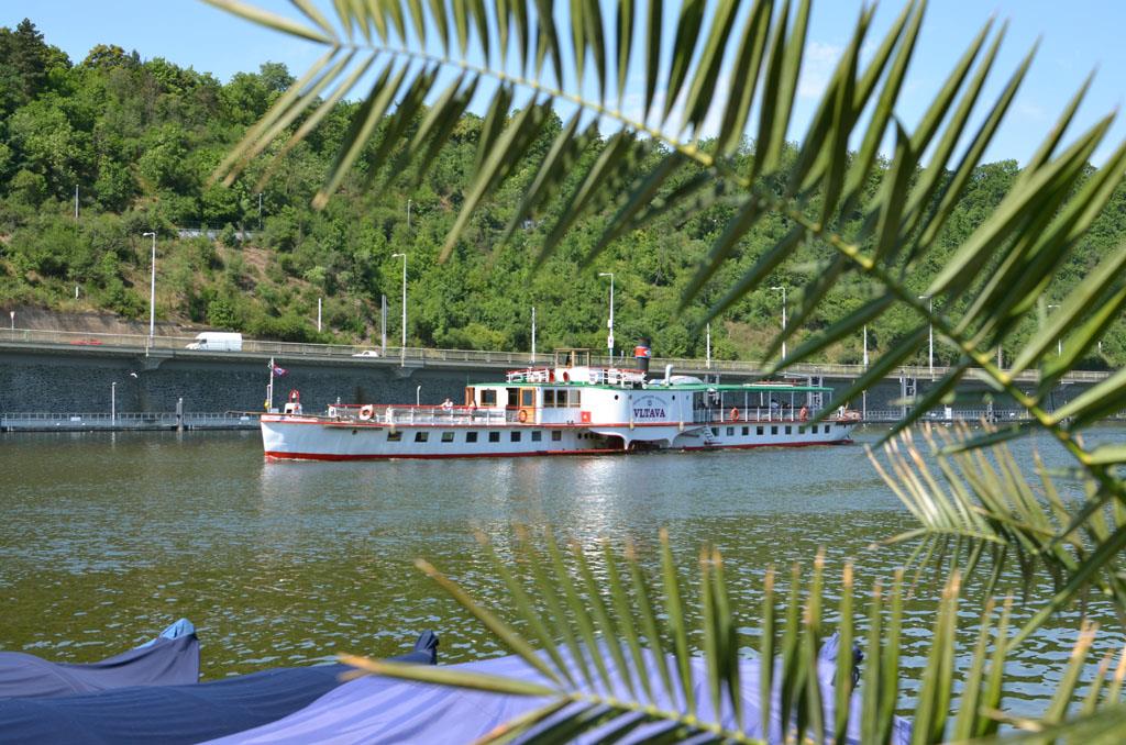 Photo: September cruises to the zoo from Hospital Na… – 9