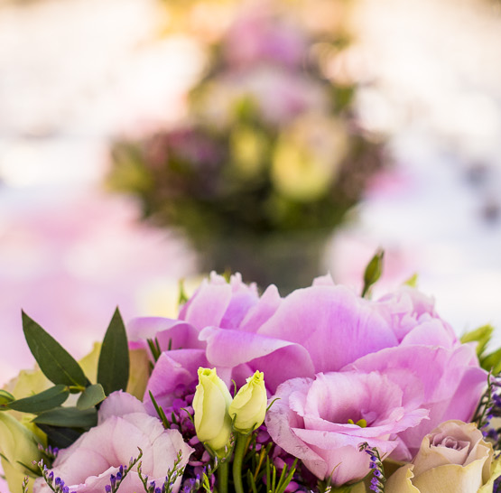 Svatba na lodi Bohemia Rhapsody