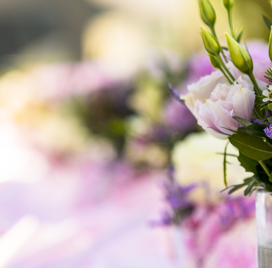 Svatba na lodi Bohemia Rhapsody