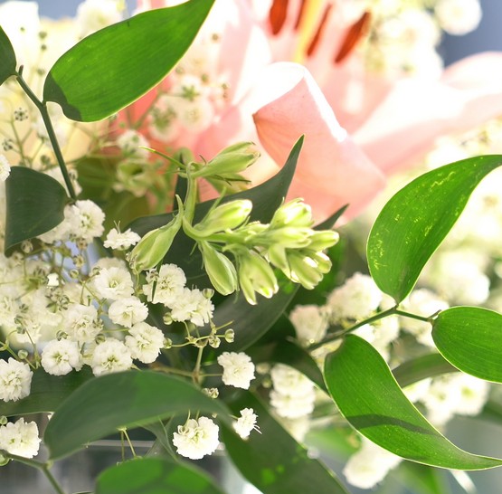 Výročí svatby na lodi Bohemia Rhapsody