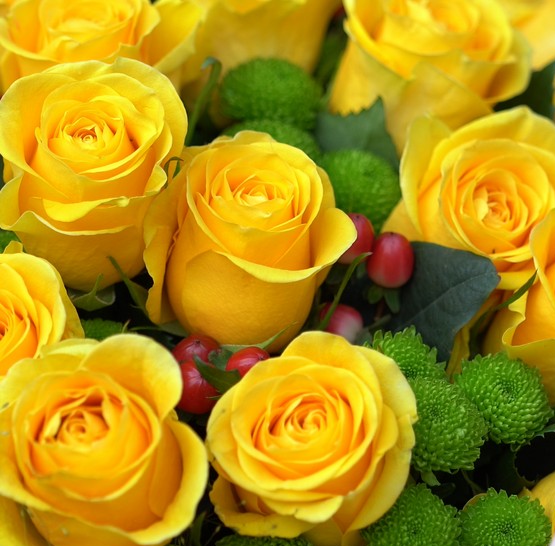 Výročí svatby na lodi Bohemia Rhapsody