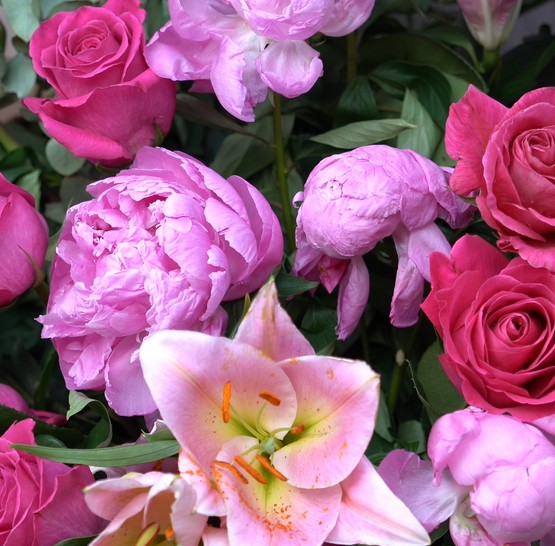 Výročí svatby na lodi Bohemia Rhapsody