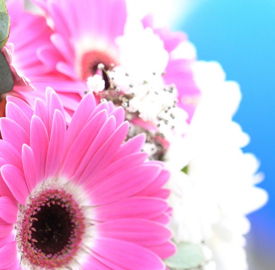 Svatební after party na lodi Agnes de Bohemia