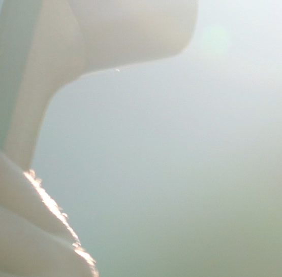 Firemní akce na lodi Bohemia Rhapsody