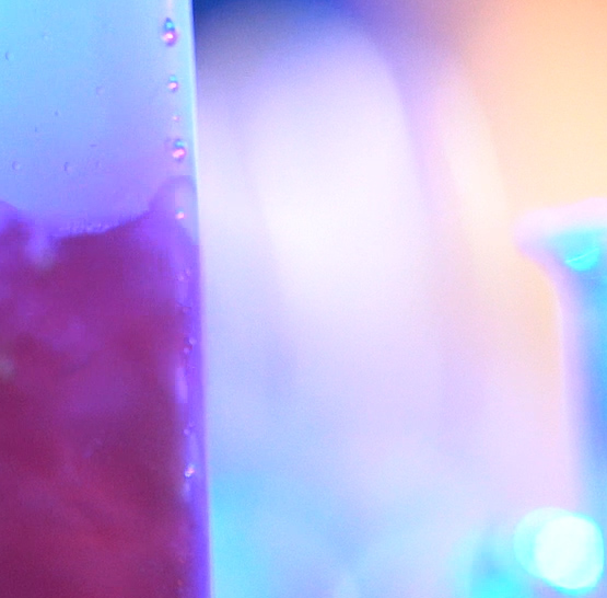 Firemní akce na lodi Bohemia Rhapsody