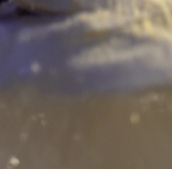 Firemní akce na lodi Bohemia Rhapsody