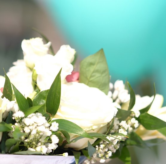 Svatba na lodi Agnes de Bohemia