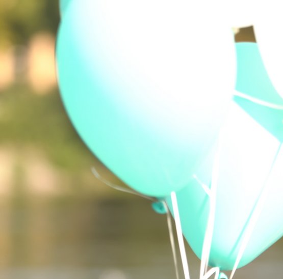 Svatba na lodi Agnes de Bohemia