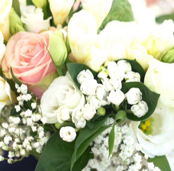 Svatba na lodi Agnes de Bohemia