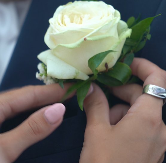 Svatba na lodi Agnes de Bohemia