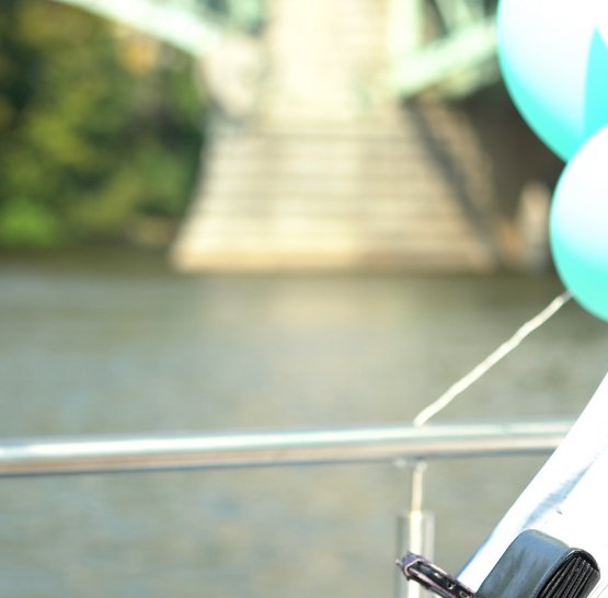 Svatba na lodi Agnes de Bohemia