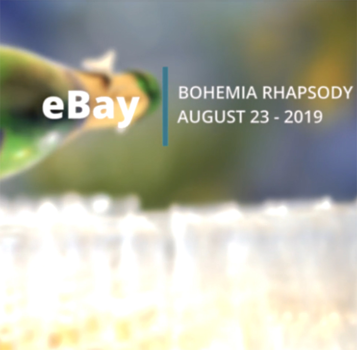 Company event on the Bohemia Rhapsody