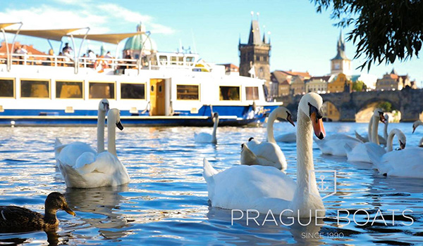 Enjoy a Christmas Eve cruise around Prague