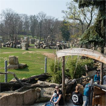 První plavby do zoo letos zahájil parník Vltava