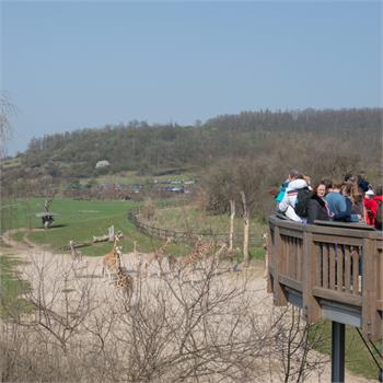 První plavby do zoo letos zahájil parník Vltava