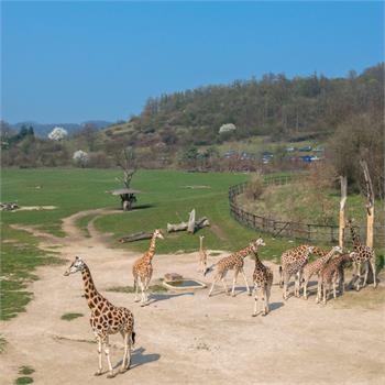 První plavby do zoo letos zahájil parník Vltava