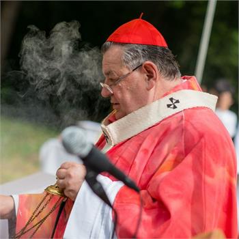 Městys Davle získal titul „Vorařská obec“