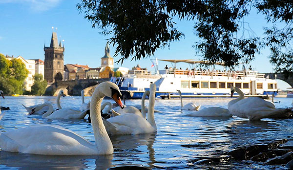 Crucero de una hora por el Moldava